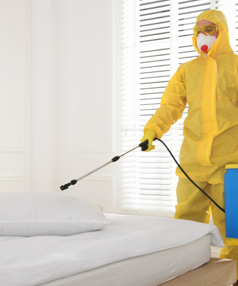 Professional Pest Control Team in Leabrook